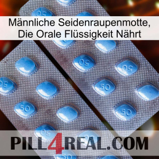 Männliche Seidenraupenmotte, Die Orale Flüssigkeit Nährt viagra4